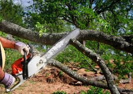 How Our Tree Care Process Works  in  Pierceton, IN